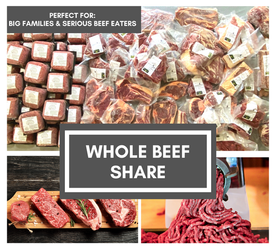 Whole Beef (500+ Pounds)